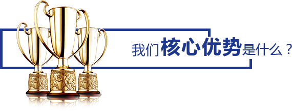 核心優(yōu)勢是什么？